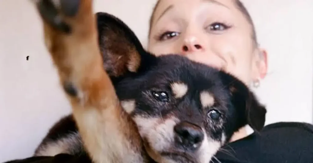 Ariana Grande taking a close-up selfie while holding her pet dog Coco