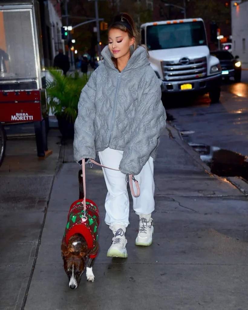 Ariana Grande pictured with her dog Myron in 2019