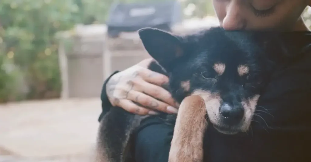 Ariana Grande holding her dachshund German shepherd mix dog Coco, who lived to 17 years old