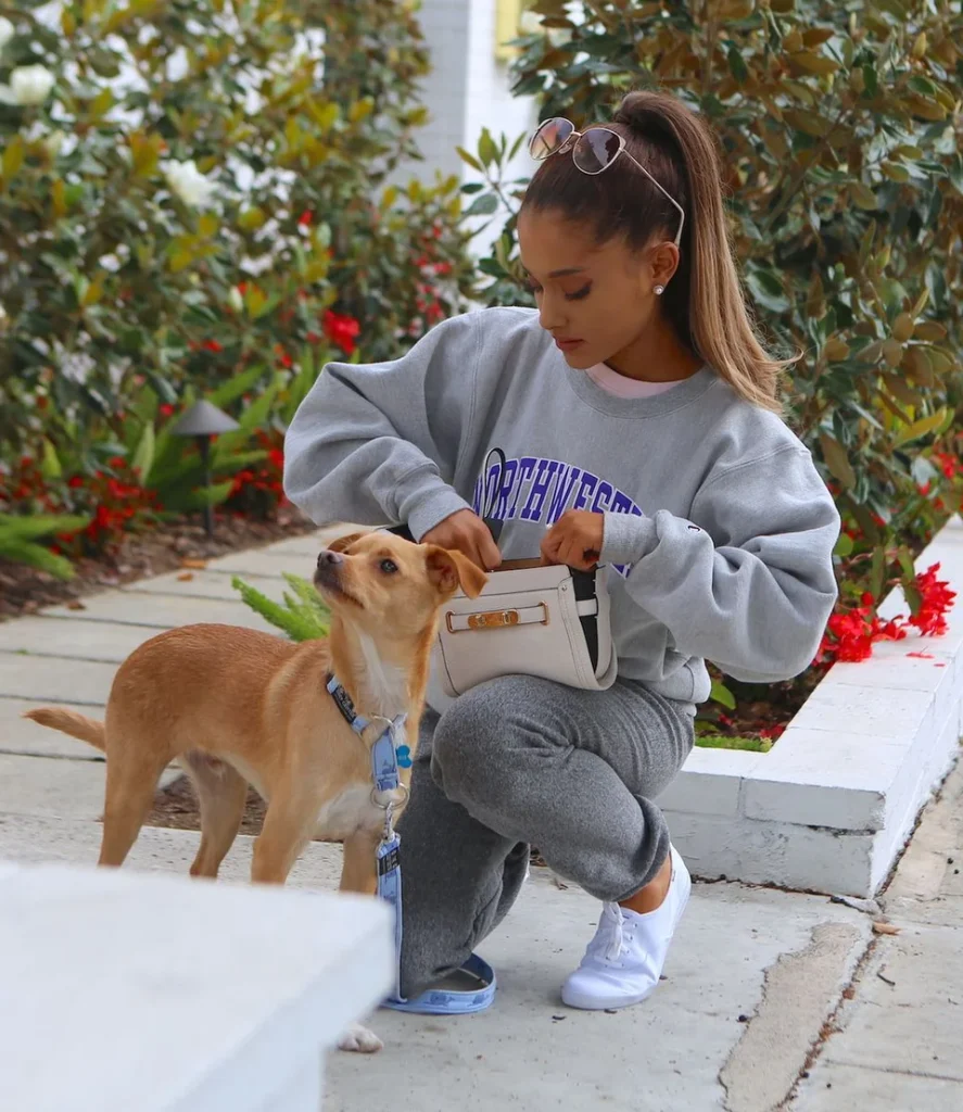 Ariana Grande pictured with her dog Toulouse in 2015